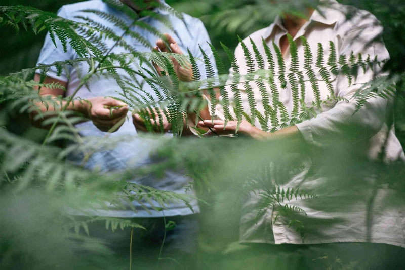 Nah aufnahme von h&auml;nden, die durch pflanzen streichen